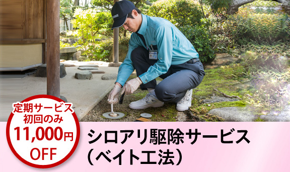 シロアリ駆除サービス（ベイト工法）　定期サービス初回のみ11,000円OFF