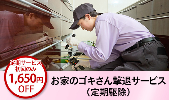 お家のゴキさん撃退サービス（定期駆除）＜ゴキブリ駆除定期サービス＞定期サービス初回のみ1,650円（税込）OFF