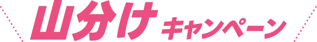 山分けキャンペーン