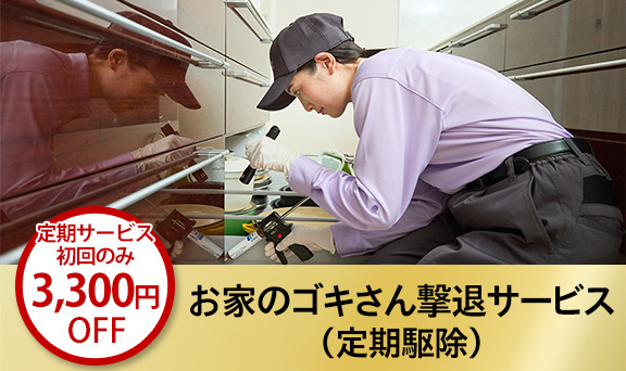 お家のゴキさん撃退サービス（定期駆除）＜ゴキブリ駆除定期サービス＞定期サービス初回のみ3,300円（税込）OFF