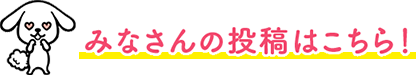 みなさんの投稿はこちら！