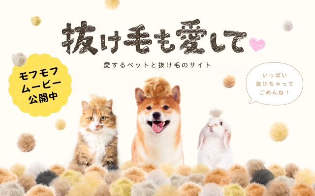 抜け毛も愛して