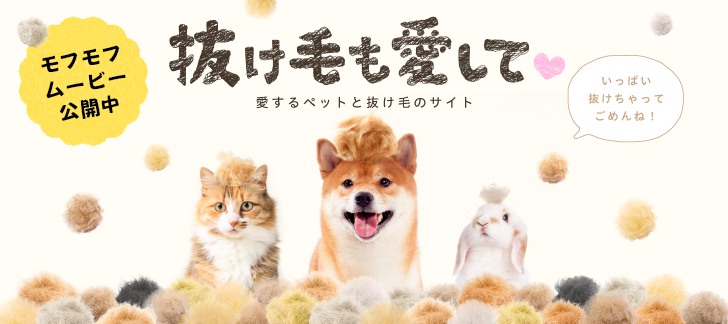 抜け毛も愛して