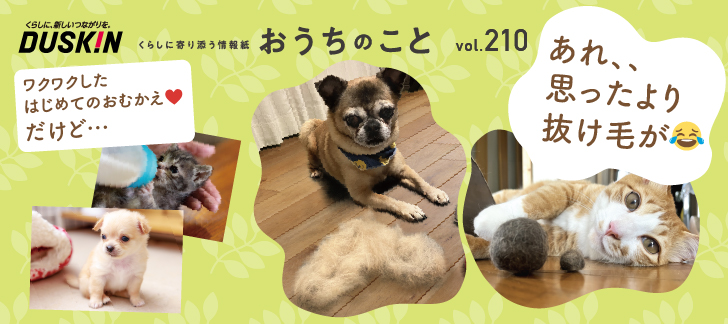 おうちのこと（65期2サイクル）