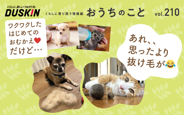 おうちのこと（65期2サイクル）