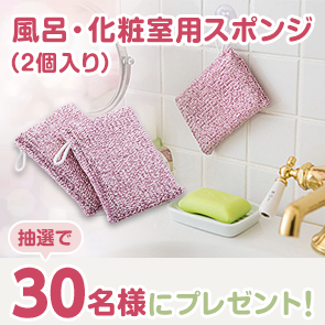 【100ポイント消費】風呂・化粧室用スポンジ（2個入り）を抽選で30名様にプレゼント！