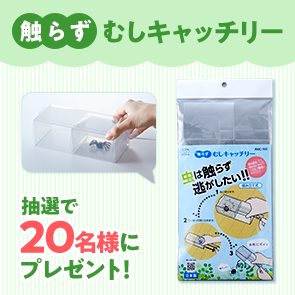 【70ポイント消費】触らず　むしキャッチリーを抽選で20名様にプレゼント！
