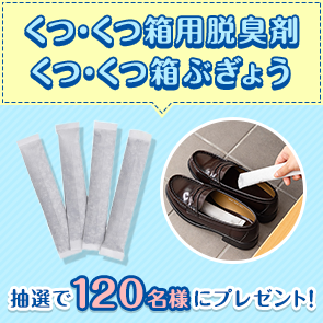 【480ポイント消費】【DDuetプレミアム会員限定】くつ・くつ箱用脱臭剤　くつ・くつ箱ぶぎょうを抽選で120名様にプレゼント！