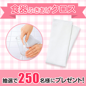 【800ポイント消費】食器ふきあげクロスを抽選で250名様にプレゼント！