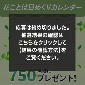 ＜はずれたらポイント返還＞【2,500ポイント消費】【DDuetプレミアム会員限定】花ことば日めくりカレンダーを750名様にプレゼント！