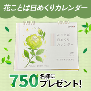 ＜はずれたらポイント返還＞【2,500ポイント消費】【DDuetプレミアム会員限定】花ことば日めくりカレンダーを750名様にプレゼント！