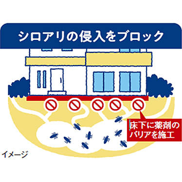 シロアリ駆除サービス（バリア工法）